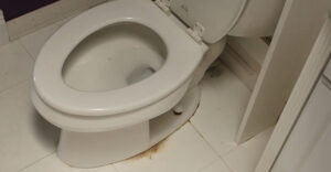 Toilet Leaking Into Basement? | Fix It Right Now With These Easy DIY Steps!